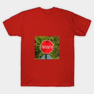 The Cultural Historian: Dr. RGST Mohawk Stop Sign T-Shirt